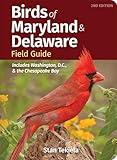 Birds of Maryland & Delaware Field Guide: Includes Washington, D.C., & the Chesapeake Bay (Bird Identification Guides)