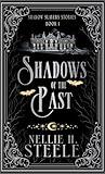 Shadows of the Past: A Supernatural Mystery Thriller (Shadow Slayers Stories Book 1)