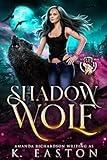 Shadow Wolf: A Rejected Mates Shifter Romance (Shadow Pack Book 1)