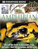 Amphibian