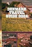 DENMARK TRAVEL GUIDE 2024: The Beauty Encounter of Copenhagen, Aarhus, Odense and Other Cultural Attractions (Travel Educator Guide)