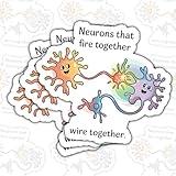 (3psc) Neurons That Fire Together Wire Together Sticker, Cute Neuron Psychology Gift Sticker, Funny Meme Science Medical Stickers for Laptop Water Bottle Car Phone Helmet Window 3"