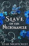 Slave of the Necromancer (Born of Death and Magic Book 1)
