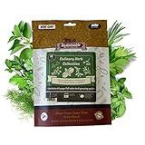 Culinary Herb Seeds Variety Pack - Outdoor & Indoor Herb Garden Kit - 10 Non-GMO Herb Garden Seeds for Planting & Book - Basil Seeds, Dill Seeds, Rosemary Seeds, Thyme Seeds, & More