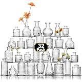 Aheroi 32 Pcs Bud Vase Set, Clear Vases for Centerpieces, Cute Glass Bud Vases Small Vases for Flowers, Mini Vase Flower Vase Set for Wedding Decorations, Room Office Table Decor