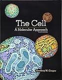 The Cell: A Molecular Approach