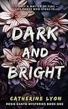 Dark and Bright (Rosie Canto Mysteries)