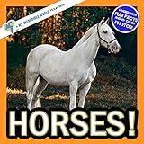 Horses!: A My Incredible World Picture Book for Children (My Incredible World: Nature and Animal Picture Books for Children)