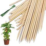 Bamboo Plant Stakes,HAINANSTRY Wood Plant Supports,Natural Bamboo Sticks for Plants/Floral/Potted Plant,Wooden Sign Posting Garden Sticks - 18 Inches 25 Pack