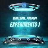 RinaldoM. Project Experiments I