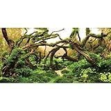 AWERT 48x24 inches Aquarium Background Branches Aquarium Background Aquatic Plant River Bed & Lake Fish Tank Background Vinyl Background