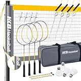 Haokelball Professional Badminton Set Badminton Sets for Backyards with Net Tension Adjuster, Badminton Rackets Set of 4, 4 Nylon Badminton Shuttlecocks and Carry Bag, Gray