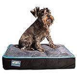 Better World Pets 5-Inch Thick Waterproof Orthopedic Memory Foam Dog Bed with 180 GSM Removable Washable Cover, Small (24" x 18" x 5") (Dogs 1-20 lbs.), Grey with Ocean Blue Trim