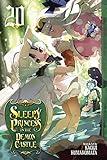 Sleepy Princess in the Demon Castle, Vol. 20