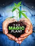 The Magic Plant