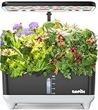 RAINPOINT Hydroponics Growing System Kit, Indoor Herb Garden Planter Kit with 13 Pods, 5L Inside Gardening System with LED Grow Light, Gardening Plant Gift for Women, Men, Children and Enthusiasts