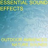 Essential Sound Effects 1 - Outdoor Ambiences, Nature Sounds [Clean]