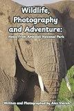 Wildlife, Photography and Adventure: Notes from Amboseli National Park