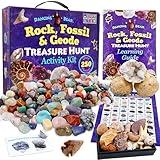 DANCING BEAR Rock, Mineral & Geodes Treasure Hunt Activity Kit (250 Pc Set) Real Shark Teeth Fossils, ID Sheet & Rock Book, STEM