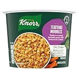 Knorr Pasta Cup For a Quick and Easy Meal, Teriyaki Noodles Made with 100% Real Vegetables & No Artificial Flavors or Preservatives, 2.6 oz