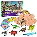 Dig Up Dinosaur Fossil Eggs, Break Open 12 Unique Eggs and Discover 12 Cute Dinosaurs, Easter Digging Toy for 3 4 5 6 7 8 9-12 Year Old Boys Archaeology Science STEM Gift