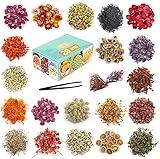 20 Bags Dried Flowers,100% Natural Dried Flowers Herbs Kit for Soap Making, DIY Candle Making,Bath - Include Rose Petals,Lavender,Don't Forget Me,Lilium,Jasmine,Rosebudsand More