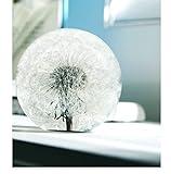 COREFLEX Real Dandelion Paperweight, Dandelion in Resin Ball in Gift Box, 2.75inch(70mm) Home Office Desktop Decor Decoration, Birthday, Wedding Gift and Valentine's Day