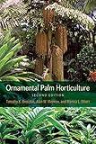 Ornamental Palm Horticulture