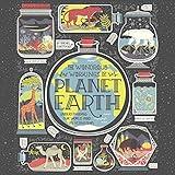 The Wondrous Workings of Planet Earth: Understanding Our World and Its Ecosystems
