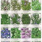 Seed Needs Indoor Herb Garden Seed Variety Pack Collection (12 Individual Packets for Planting) Grow Your Own Organic Kitchen Plants