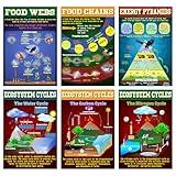 Pasimy 6 Pcs Science Posters Ecosystems Teaching Posters Set Ecosystems Cycle Food Web Food Chain Energy Pyramids Bulletin Board for Primary Middle School Science Biology Classroom Decorations