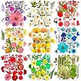MIKIYA 182Pcs Dried Pressed Flowers for Resin Molds, Assorted Real Natural Bulk Dry Floral Leaves for DIY Art Crafts, Epoxy Jewelry, Candle, Soap Making, Nails Decors Gifts