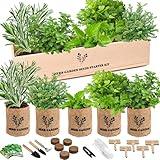 Sproutix Indoor Herb Garden Starter Kit, 5 Seeds Growing into Basil, Parsley, Rosemary, Thyme, Mint, Including A Wooden Box, Soil Discs & Planters with A Gift Box, Ideal Christmas Gifts for Women