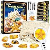 GobiDex Sea Life Amber Dig Kit, Educational Fun Toys STEM Activities Science Kits for Kids Age 6-8-12, Dig Up 6 Real Artificial Shellfish Resin&Collection Specimens, Birthday Gifts for Boys and Girls