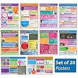 Daydream Education Sociology Classroom Posters - Set of 20 - EXTRA LARGE 33” x 23.5” - Gloss Paper - Sociology Middle & High School Class Decoration - Wall Charts