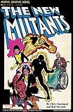 Marvel Graphic Novel #4: The New Mutants (Marvel Graphic Novel (1982))