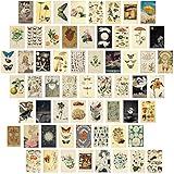 Gersoniel 60 PCS Vintage Collection Postcard Set Retro Style Botanical Butterfly Mushroom Nature and Ephemera Postcards for DIY Card Paper