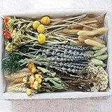 DIY Natural Dried Flower Set, Bulk Dried Flowers, Dried Flowers with Stems, Handmade Dried Flowers Ideas, DIY Flower Set, Dried Flower Bouquets, Table Centerpiece Mini Dried Flowers (Brown)