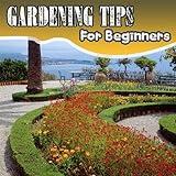 Gardening with Annuals vs. Perennials