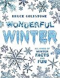 Wonderful Winter: All Kinds of Winter Facts and Fun (Season Facts and Fun)