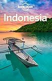 Lonely Planet Indonesia (Travel Guide)