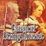 Ave Maria / Schubert / Religious / Church Music / Hymn / Classical Music String Quartet