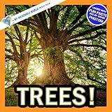 Trees!: A My Incredible World Picture Book for Children (My Incredible World: Nature and Animal Picture Books for Children)