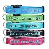 Personalized Dog Collar, Custom Embroidered Pet Name and Phone Number 4 Adjustable Sizes X-Small Small Medium Large Quick Release Buckle and D-Ring