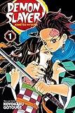 Demon Slayer: Kimetsu no Yaiba, Vol. 1 (1)