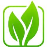 Plant Based Diet