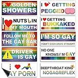 Frienda 10 Pcs Bumper Decals Funny LGBT Stickers Rainbow Bumper Prank Car Stickers Colorful Car Accessories for Truck Vehicle Luggage Window Refrigerator(Magnetic,Classic Style)