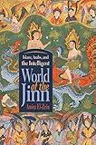 Islam, Arabs, and the Intelligent World of the Jinn (Contemporary Issues in the Middle East)