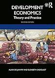 Development Economics: Theory and Practice