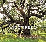 Wise Trees